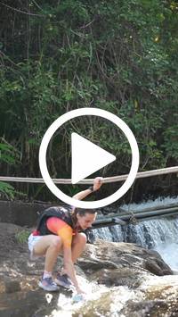 BIB:  <button type="button" onclick="openModal(27529619)" class="btn btn-primary btn-sm float-right" data-toggle="modal" data-target=".modal-high-quality">
                <i class="fa fa-download"></i> Download
                </button>